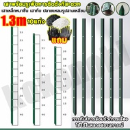 เสารั้วเหล็ก Y Post (สูง 1.3m 1.5m 1.8m) เสารั้วตาข่าย เสารั้วเหล็กหนา เสารั้วบ้าน เสารั้วเหล็กหล่อส