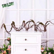 TAYLOR1 Simulated Tree Vines, Artificial Long Hanging Withered Vines, DIY Home Decor Reusable Flexib
