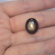天然加熱黑色星光藍寶石尺寸 9.5 - 12.5 克拉。用於 DIY 首飾