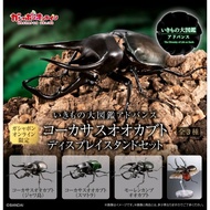 Bandai Special Gashapon The Diversity of Life on Earth Advance Caucasus Beetle [JFT14]