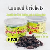 Cangkerik Tin Keridik Cengkerik Caned Cricket Fishing , Fish Food , Turtle Arowana Kalui