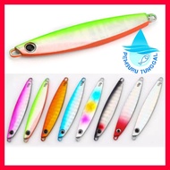 Micro Jig, 7g, 10g, 14g, 17g, 25g, 30g, 40g/Metal Jig/Fast Jig