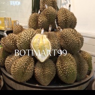 buah durian utuh montong palu sulawesi manis legit duren raja emas300g