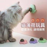 貓咪玩具球 貓薄荷球 逗貓球 旋轉磨牙棒 潔齒球 1個 顏色隨機