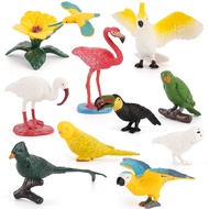 9Pcs/set Solid Simulation Animal World Miniature Bird Model Parrot Flamingo Egret Science Education 
