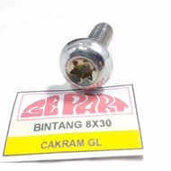 Star bolt 8X30 Lower master disc caliper bolt GL