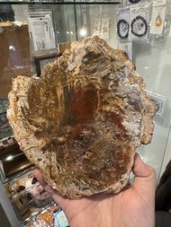 樹化玉片