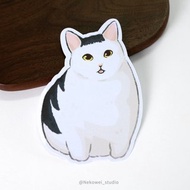 造型明信片 蛤? 迷因貓咪 HUH? 附信封袋 貓咪 貓貓 萬用卡 書籤