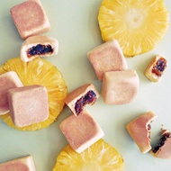 【郭元益】100%純鳳梨酥