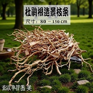 Fish Tank Landscaping Rhododendron Root Branch Landscape Decoration Indoor Ecological Rainforest Eng