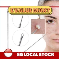 E Value Mart Double Head Stainless Steel Acne Needle