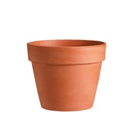Albenga 15cm Terracotta Cache Pot Deroma (No Hole) (Fragile item)