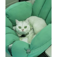Pet Carrier dog baby seater car dog booster seat Puppy Cat Bed Car Portable Dog Bed Safety Car Pet S