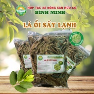 Cold-dried Guava Leaves