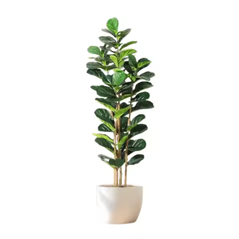 5/6/7 FT Artificial Fiddle Leaf Fig Tree with Pot Faux Trees with Artificial Plants Fiddle Leaves Gr