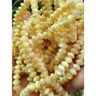 Natural Luminous Shell Spacer Ufo Shape 5.7 X 4.2,.Never Fade Strip Beads Around Hand Two Circles Mo
