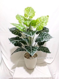 Tanaman artificial tanduk rusa latex cabang 18 + potnya