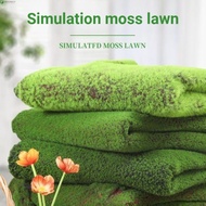 NEEDWAY Fake Moss Grass Turf, DIY Eternal Life Artificial Moss Carpet, Photography Props Lifelike Du