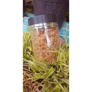 peria crispy & garlic crispy