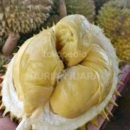 Terjamin Durian Montong Palu-Parigi Utuh/Bulatan Ready ya kak