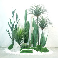 Simulation Cactus Pillar Cactus Nordic Influencer Decoration Plant Cactus Pillar Fake Green Plant In