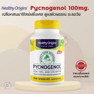 Healthy Origins Pycnogenol 100mg (60cap) พิคโนจีนอล สารสกัดเปลือกสนฝรั่งเศส