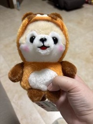 豆柴三兄弟-貍貓做型