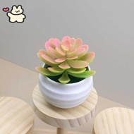Artificial Succulents Plants in Pots Small Fake Plants for Bedroom Living Room Office Shelf Bathroom