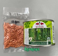 REPACKING 10GM JUMBO GREEN F1 Biji Benih Timun Batang Besar Cap Panah Merah Thailand