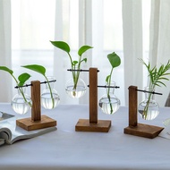 European Style Creative Fresh Transparent Glass Hydroponic Green Dill Plant Wooden Frame Hydroponic 