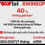 SIM Wintel 6WIN60P (Không giới hạn dung lượng)