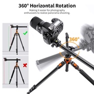 K&f Concept Tripod Camera Horizontal Rotation K234A6 with Monopod