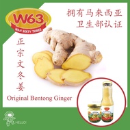 【正宗W63文冬姜】Original Bentong Ginger