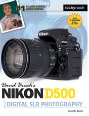 David Busch’s Nikon D500 Guide to Digital SLR Photography David D. Busch