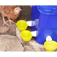 Penyedap Air Minum untuk Anak Ayam, Itik, Angsa, Ayam Belanda, Puyuh, Kit Mangkuk Penyedap Air Ayam 