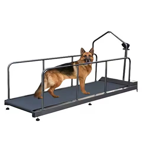 Longermay Dog Treadmill Large Dog Resistance Treadmill Treadmill For Pets