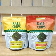 Kale Chips Sunkrips 20 gr