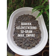 BIJI KEDEKAI (MAJALAWI)BUAH KK(KELENTIT KERING)LANGKAU