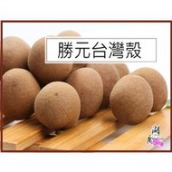 最新鮮上市 2024年 桂圓乾-帶殼桂圓乾-帶殼龍眼乾-台灣產 【啟陞食品】火速出貨 迪化街一段74號