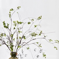 Flower Autumn Leaves Fake Branches Branches Long Dried Flowers Zen Ornaments Living Room Tea Room Fr