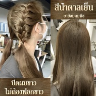 Hair Coloring 2025ย้อมผมล่าสุด สีเขียวสีย้อมผม 100%ยาย้อมผมออร์แกนิกสร้างสไตล์อื่นๆ สีผมสม่ำเสมอ ครี