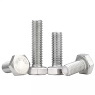 304 Stainless Steel External Hexagon Screw Extended Hexagon Screw M22/M24/M27