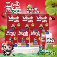 โปรโมชั่น 6 กล่อง Miyahgro วิตามินแร่ธาตุสร้างภูมิคุ้มกัน ช่วยเจริญอาหารสำหรับเด็ก ขนาด 100g.