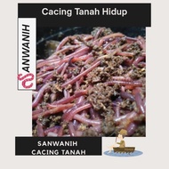 Cacing Tanah Hidup 1000 Gram