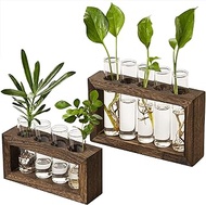Yangbaga Wall Mounted Hanging Planter 9Test Tubes, Terrarium Planter Vase Kit with Wooden Stand for Propagating Hydroponic Plants-for Office Home Wedding Garden Decoration 2pcs