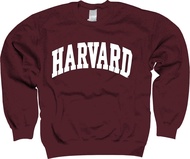 Harvard University Sweatshirt - Officially Licensed Arched Block Crewneck
