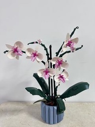 Lego Orchis 蘭花擺設