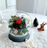 永生花拍拍燈玻璃盅-聖誕麋鹿