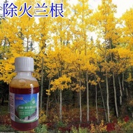 Herbicide Big Tree Quick Drying Dedicated Root Cleaning Obstacle Herbicide Powerful Genuine Big Tree