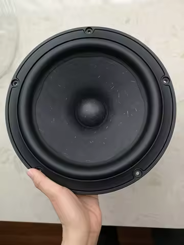 A-1054 Fever Original Denmark Speaker Vifa Ne265 10 inch Mid Bass Speaker Horn 190W 6Ohm 1PCS